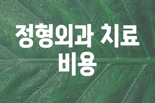 정형외과 치료 비용