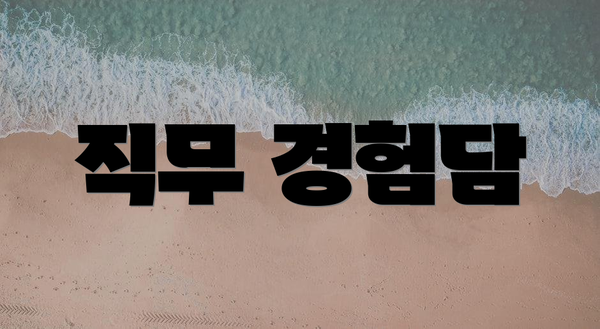 직무 경험담