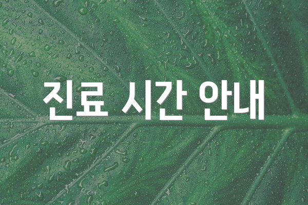 진료 시간 안내