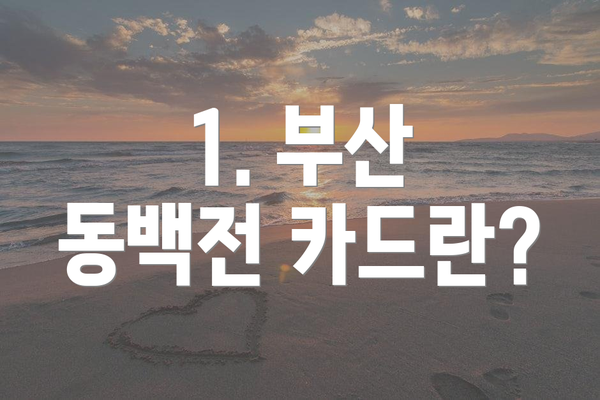 1. 부산 동백전 카드란?