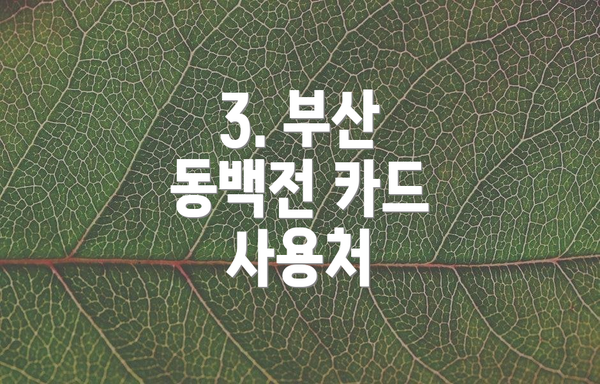 3. 부산 동백전 카드 사용처