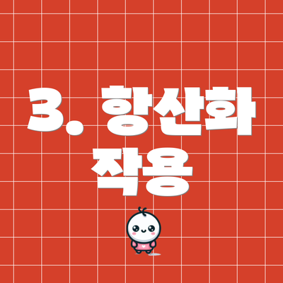 3. 항산화 작용