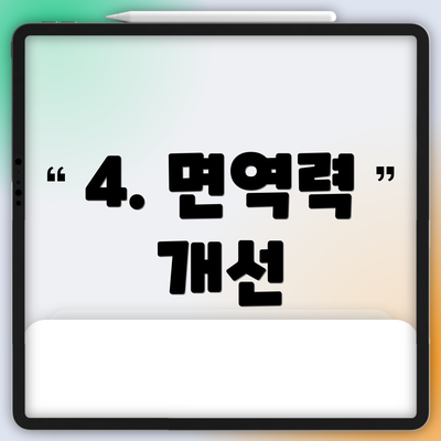 4. 면역력 개선