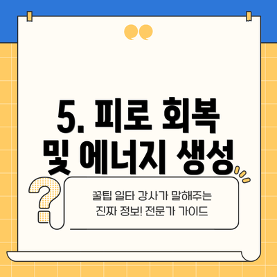 5. 피로 회복 및 에너지 생성