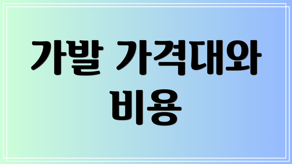 가발 가격대와 비용