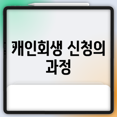 개인회생 신청의 과정