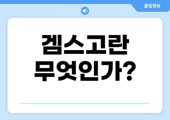 겜스고란 무엇인가?