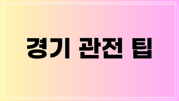 경기 관전 팁