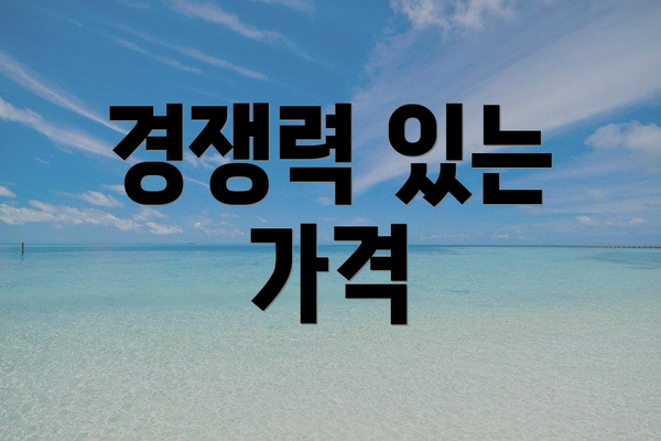 경쟁력 있는 가격