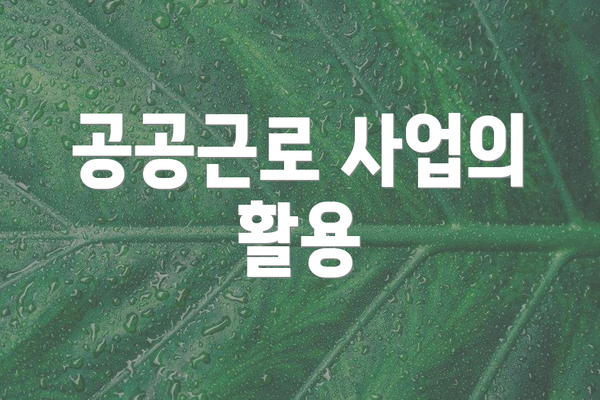 공공근로 사업의 활용
