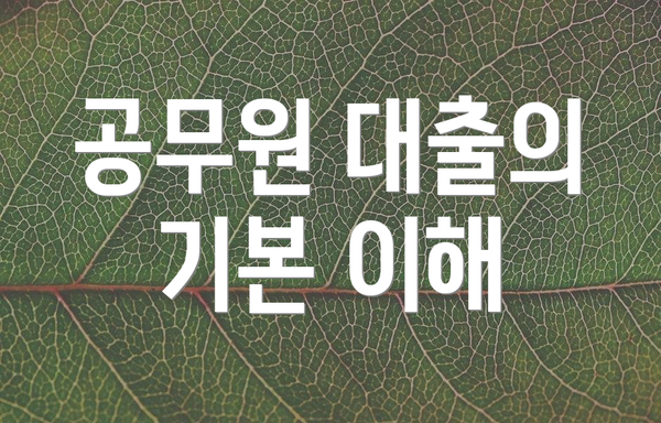 공무원 대출의 기본 이해