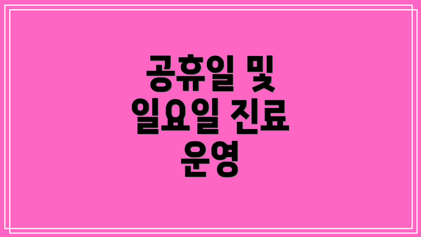 공휴일 및 일요일 진료 운영