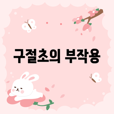 구절초의 부작용