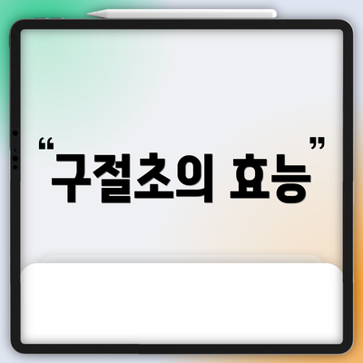 구절초의 효능