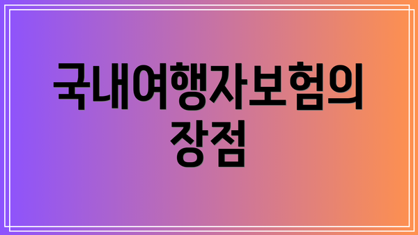 국내여행자보험의 장점