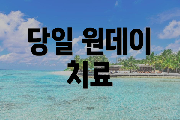 당일 원데이 치료