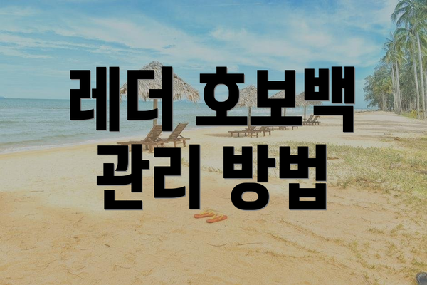 레더 호보백 관리 방법