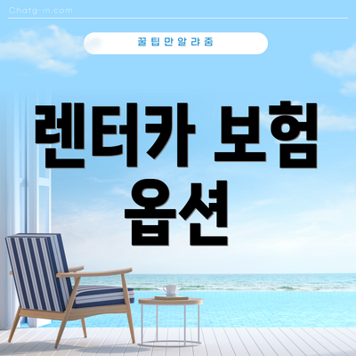 렌터카 보험 옵션