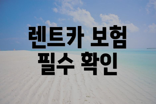 렌트카 보험 필수 확인