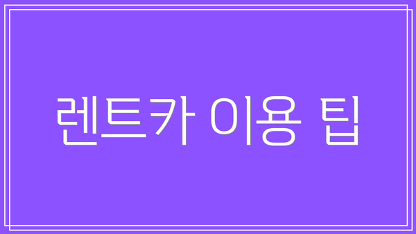 렌트카 이용 팁