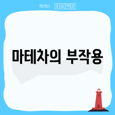 마테차의 부작용