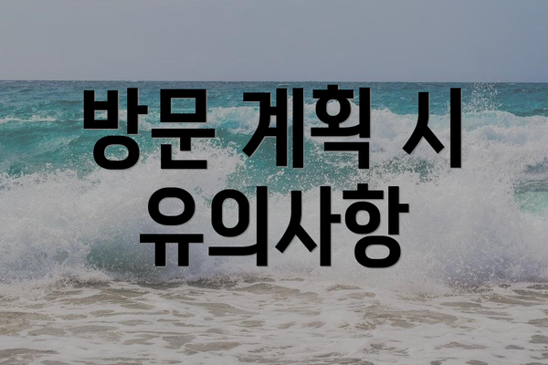 방문 계획 시 유의사항