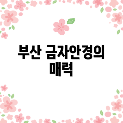 부산 금자안경의 매력