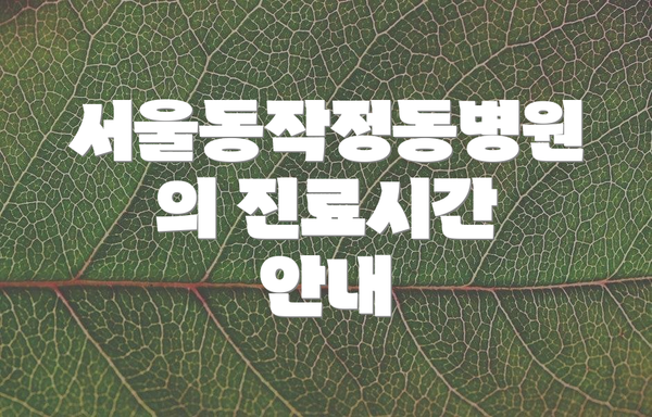 서울동작정동병원의 진료시간 안내