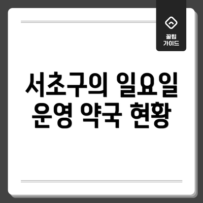 서초구의 일요일 운영 약국 현황