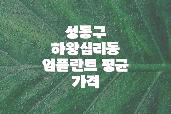 성동구 하왕십리동 임플란트 평균 가격