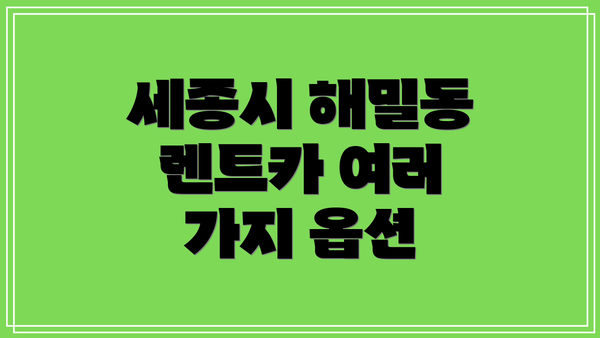 세종시 해밀동 렌트카 여러 가지 옵션