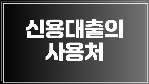 신용대출의 사용처
