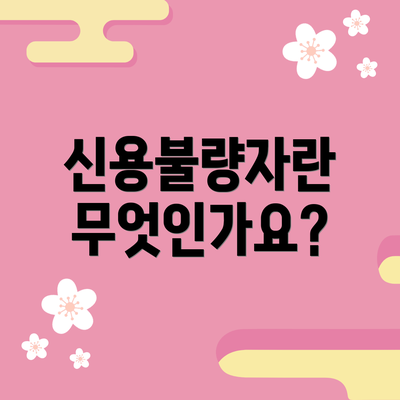 신용불량자란 무엇인가요?