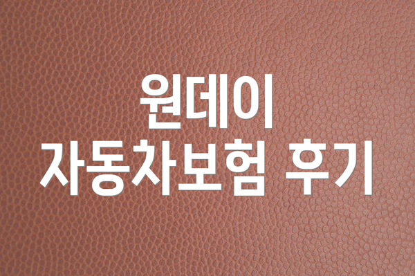 원데이 자동차보험 후기