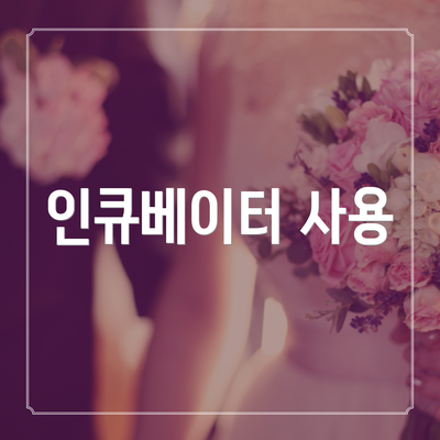 인큐베이터 사용