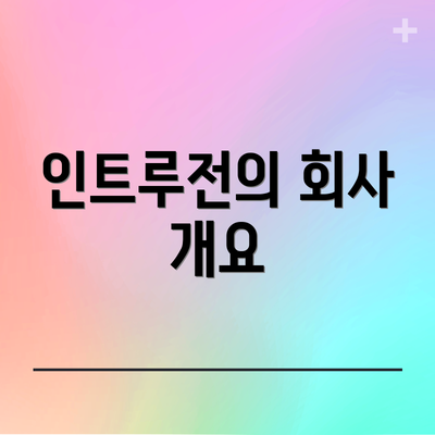 인트루전의 회사 개요