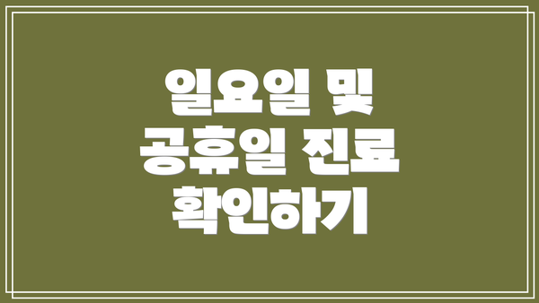 일요일 및 공휴일 진료 확인하기