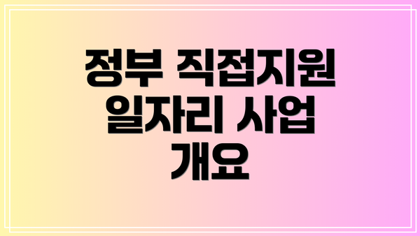 정부 직접지원 일자리 사업 개요