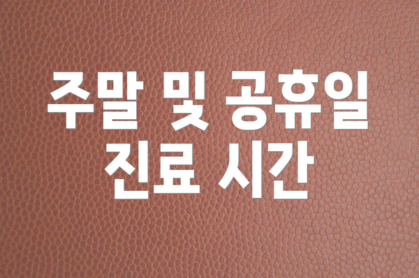 주말 및 공휴일 진료 시간