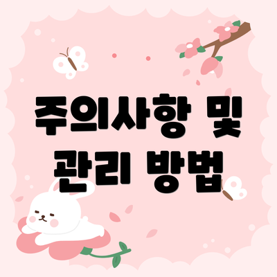 주의사항 및 관리 방법