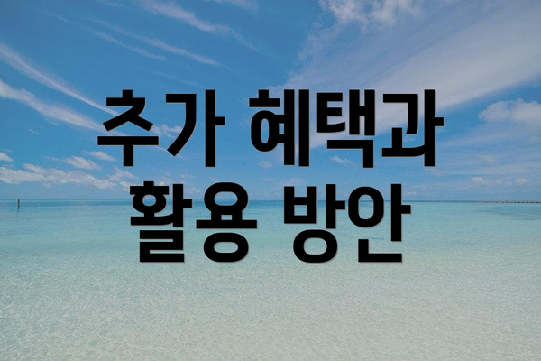 추가 혜택과 활용 방안