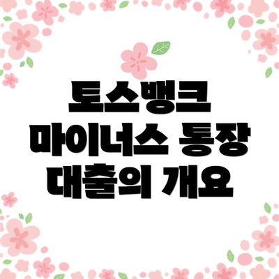 토스뱅크 마이너스 통장 대출의 개요