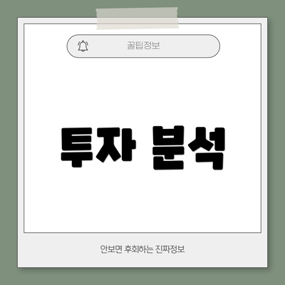 투자 분석