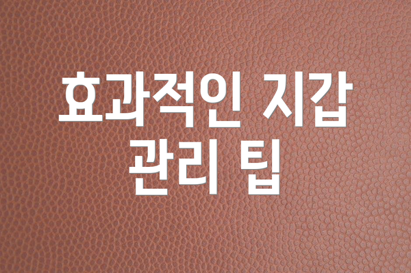 효과적인 지갑 관리 팁
