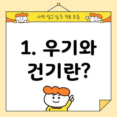 1. 우기와 건기란?